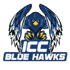 ICC Blue Hawks 队徽